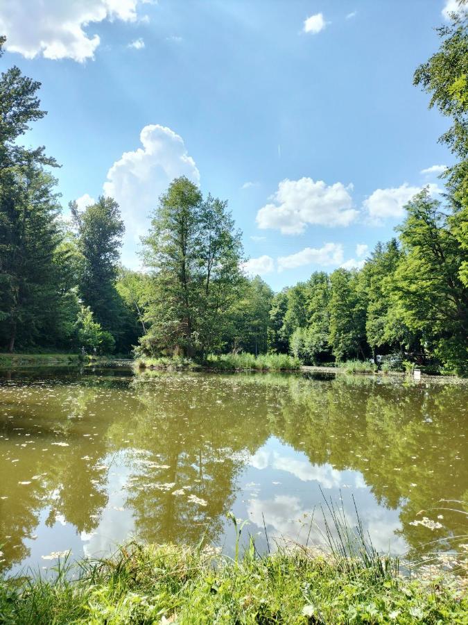 Les Capucines La Souris Des Champs Apartment Etival-Clairefontaine Luaran gambar